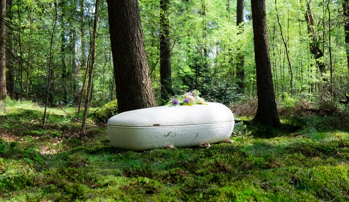 4. Loop Living CocoonTM  - ©Loop Biotech